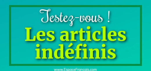 Quiz / Exercice : Les articles indéfinis