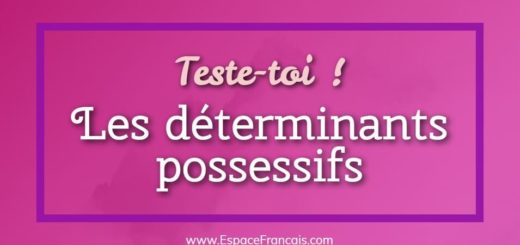 Quiz / Exercice : Les déterminants possessifs