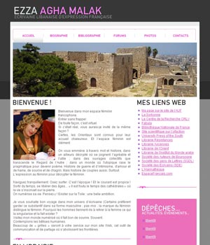 www.ezza-agha-malak.com