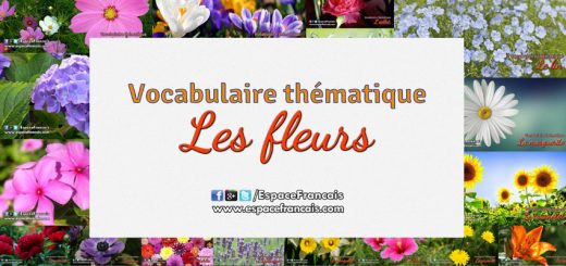 Les fleurs - Vocabulaire français thématique