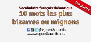 10 mots les plus bizarres ou les plus mignons de la langue française (1re partie) - Vocabulaire français thématique