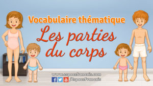 Les parties du corps - Vocabulaire français thématique Les parties du corps - Vocabulaire français thématique