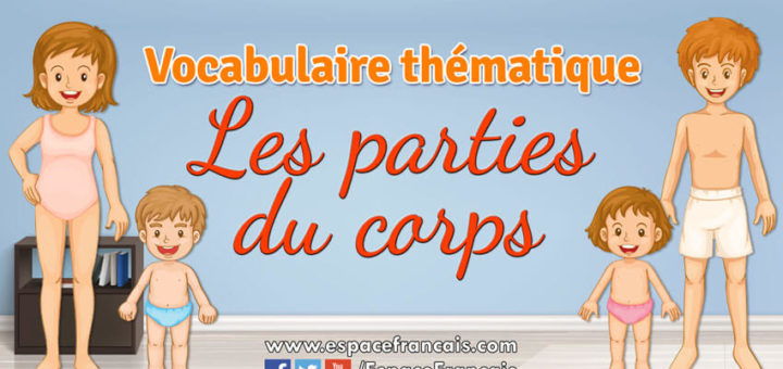 Les parties du corps - Vocabulaire français thématique