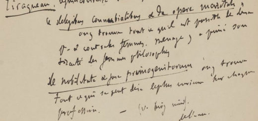 Manuscrits de Gustave Flaubert, Carnets de travail n° 15 : idées et projets divers, notes pour Bouvard et Pécuchet