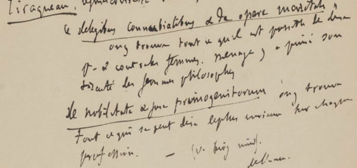 Manuscrits de Gustave Flaubert, Carnets de travail n° 15 : idées et projets divers, notes pour Bouvard et Pécuchet