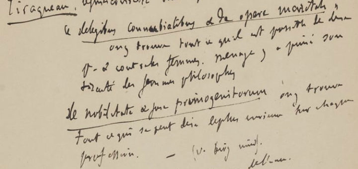 Manuscrits de Gustave Flaubert, Carnets de travail n° 15 : idées et projets divers, notes pour Bouvard et Pécuchet