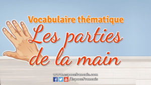 Les parties de la main - Vocabulaire français thématique Les parties de la main - Vocabulaire français thématique