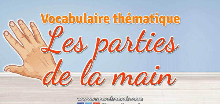 Les parties de la main - Vocabulaire français thématique