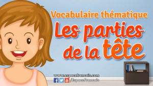 Les parties de la tête - Vocabulaire français thématique Les parties de la tête - Vocabulaire français thématique