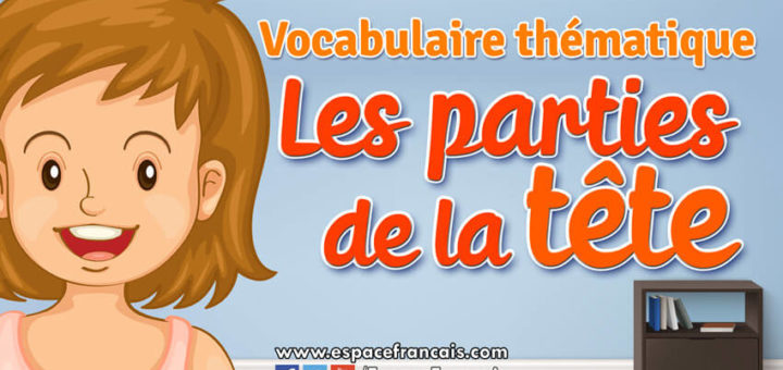 Les parties de la tête - Vocabulaire français thématique
