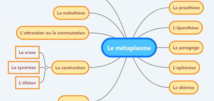 Le métaplasme - Parmi les métaplasmes, on distingue : la prosthèse, l'épenthèse, la paragoge, l'aphérèse, la syncope, l'apocope, la métathèse, la crase, la synérèse, l'élision et la diérèse.
