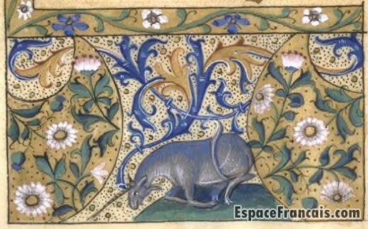 Bordure ornée (Licorne), 1420-1499, Bibliothèque municipale de Toulouse. Bordure ornée (Licorne), 1420-1499, Bibliothèque municipale de Toulouse.